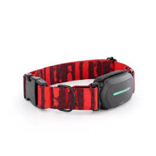 Collar Inteligente con GPS y Control de Actividad